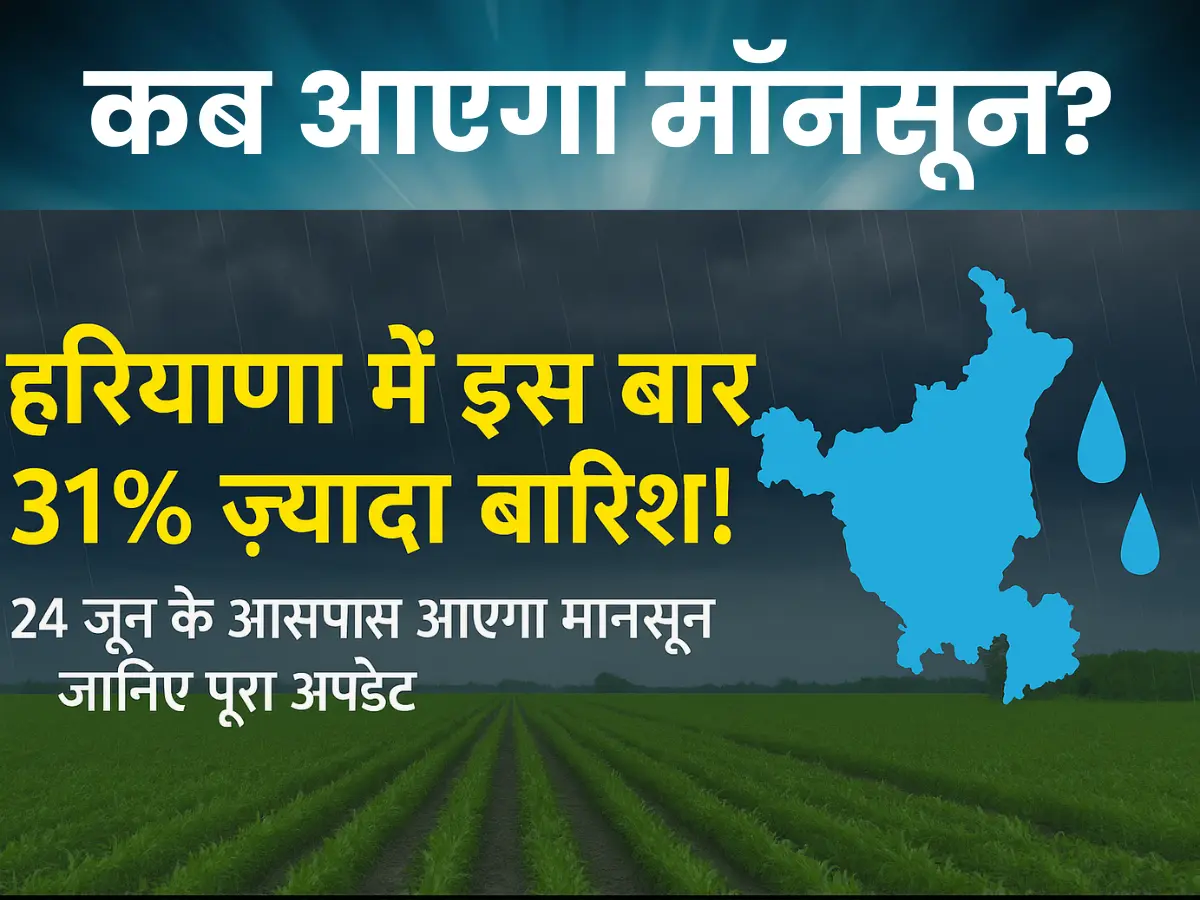 haryana-monsoon-2025-update